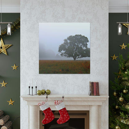 The Lonely Tree in the Foggy Meadow - The Alien Canva