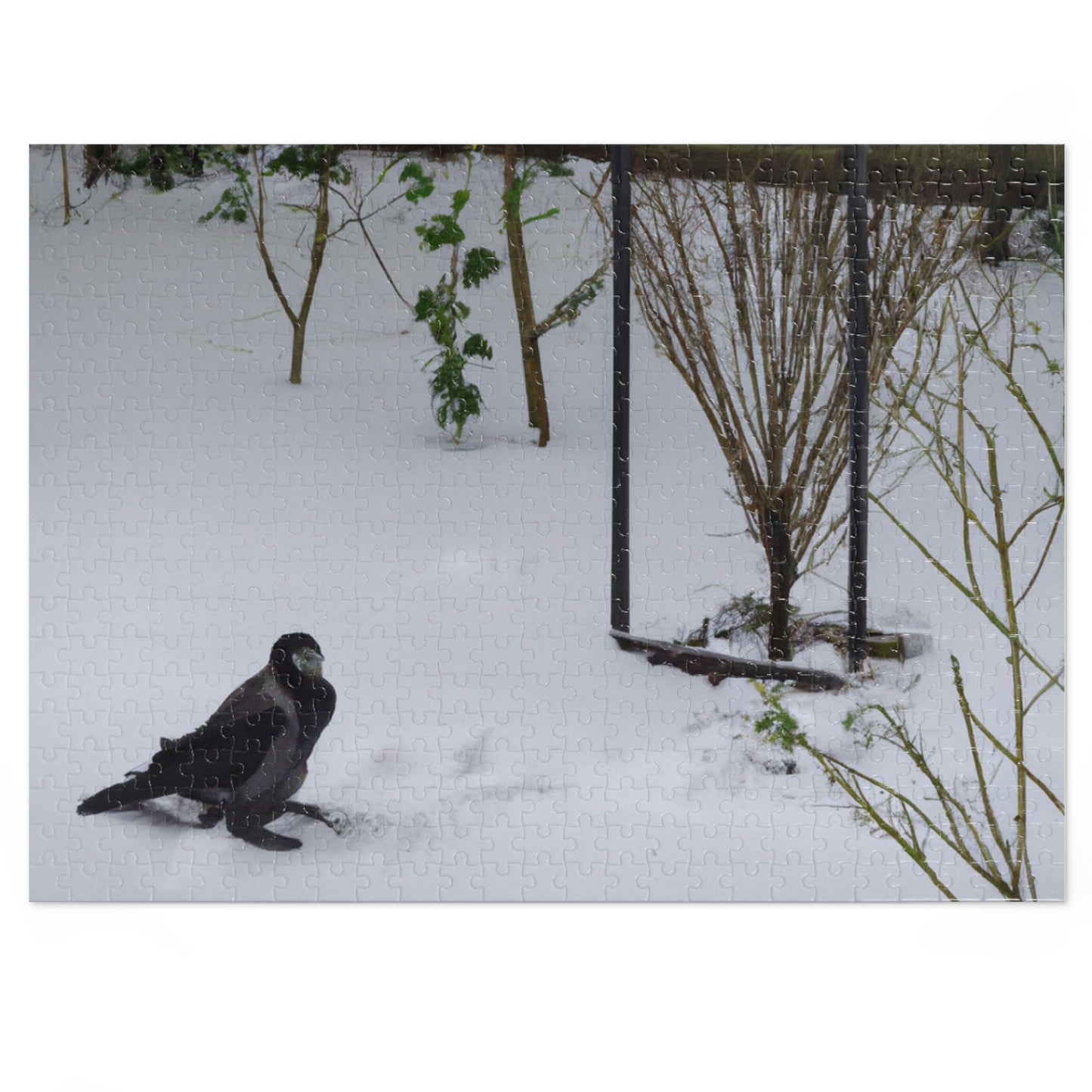 "The Snow Garden of the Wounded Crow" - The Alien Jigsaw Puzzle