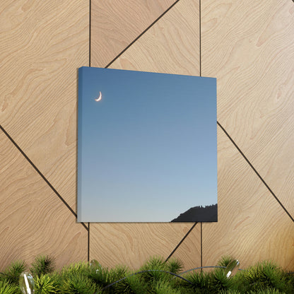 The Crescent Moon in Winter's Shadow - The Alien Canva