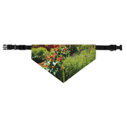 "Garden of Colorful Radiance" - The Alien Pet Bandana Collar