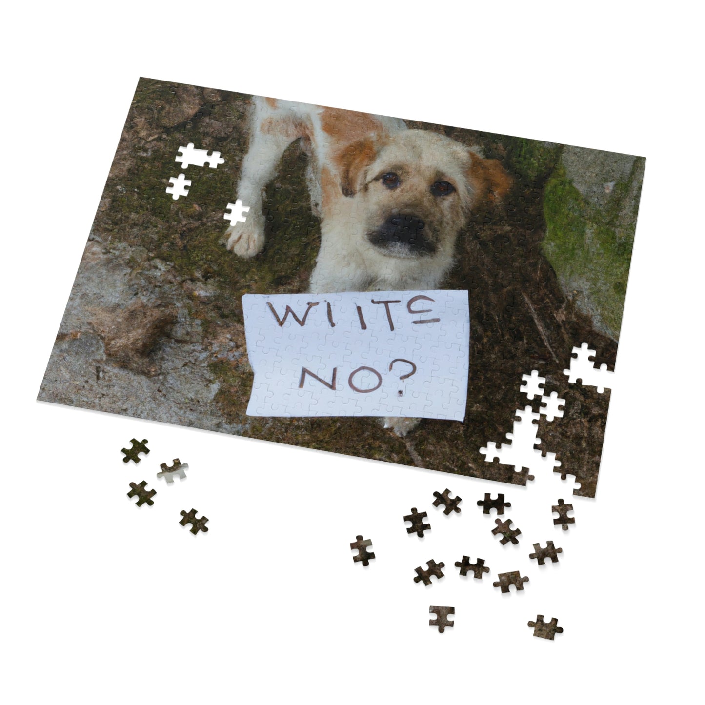 "A Heartbreaking Search: The Lost Dog's Plea for Reunion" - The Alien Jigsaw Puzzle