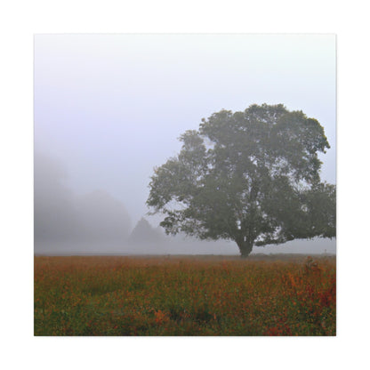 Der einsame Baum auf der nebligen Wiese - The Alien Canva