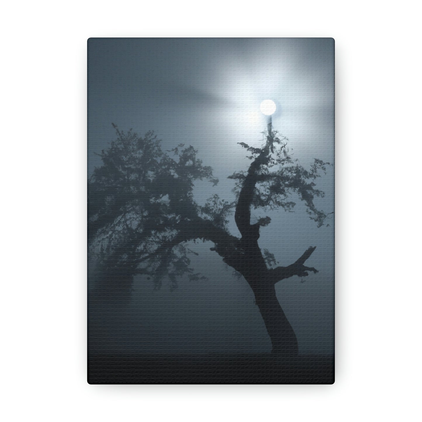 "A Shining Sentinel in the Mist” - The Alien Canva