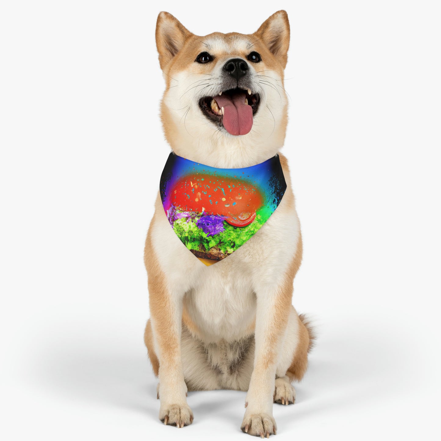 "Burger Rainbow" - The Alien Pet Bandana Collar