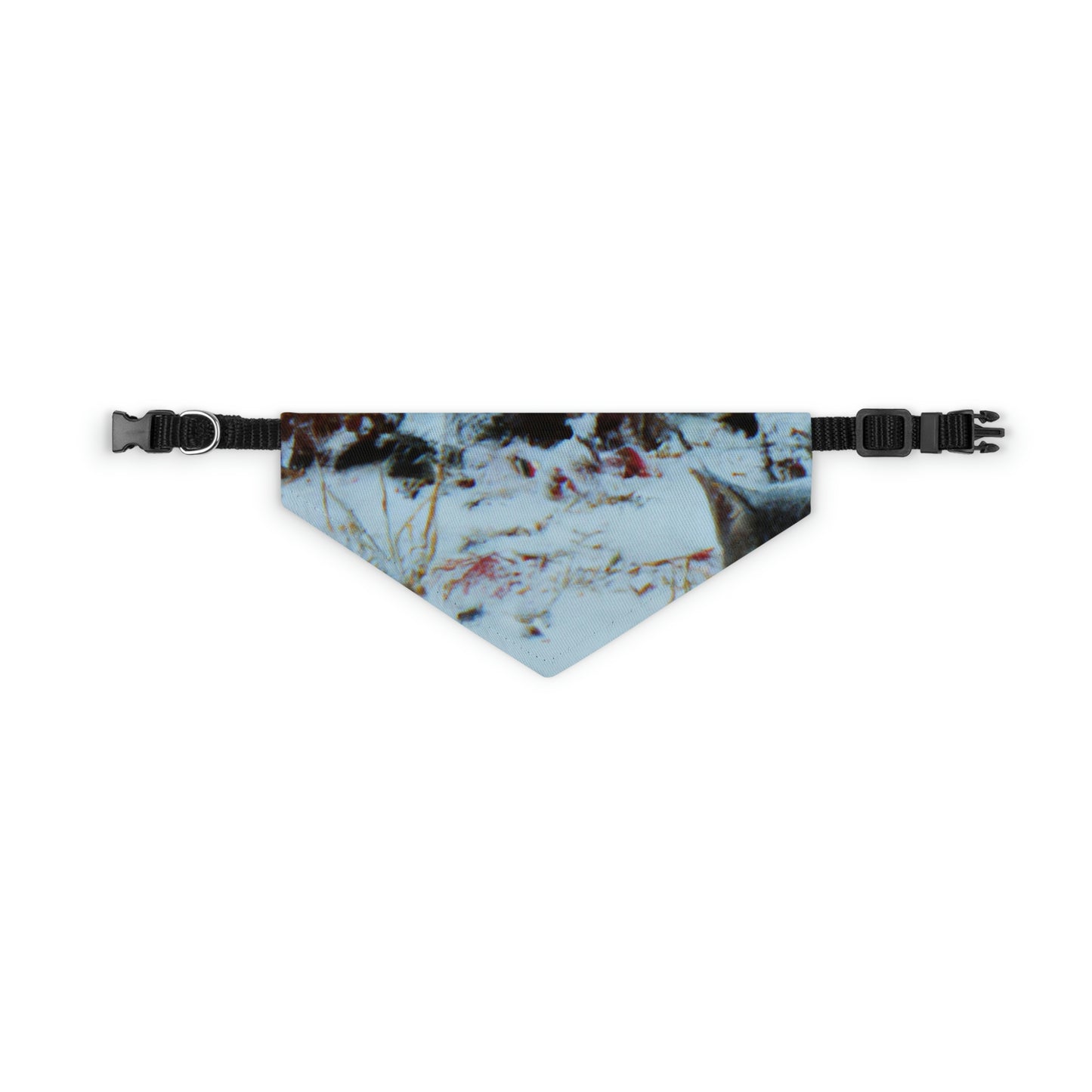 "Brave Kitten in the Frozen Storm" - Das Alien Pet Bandana Halsband