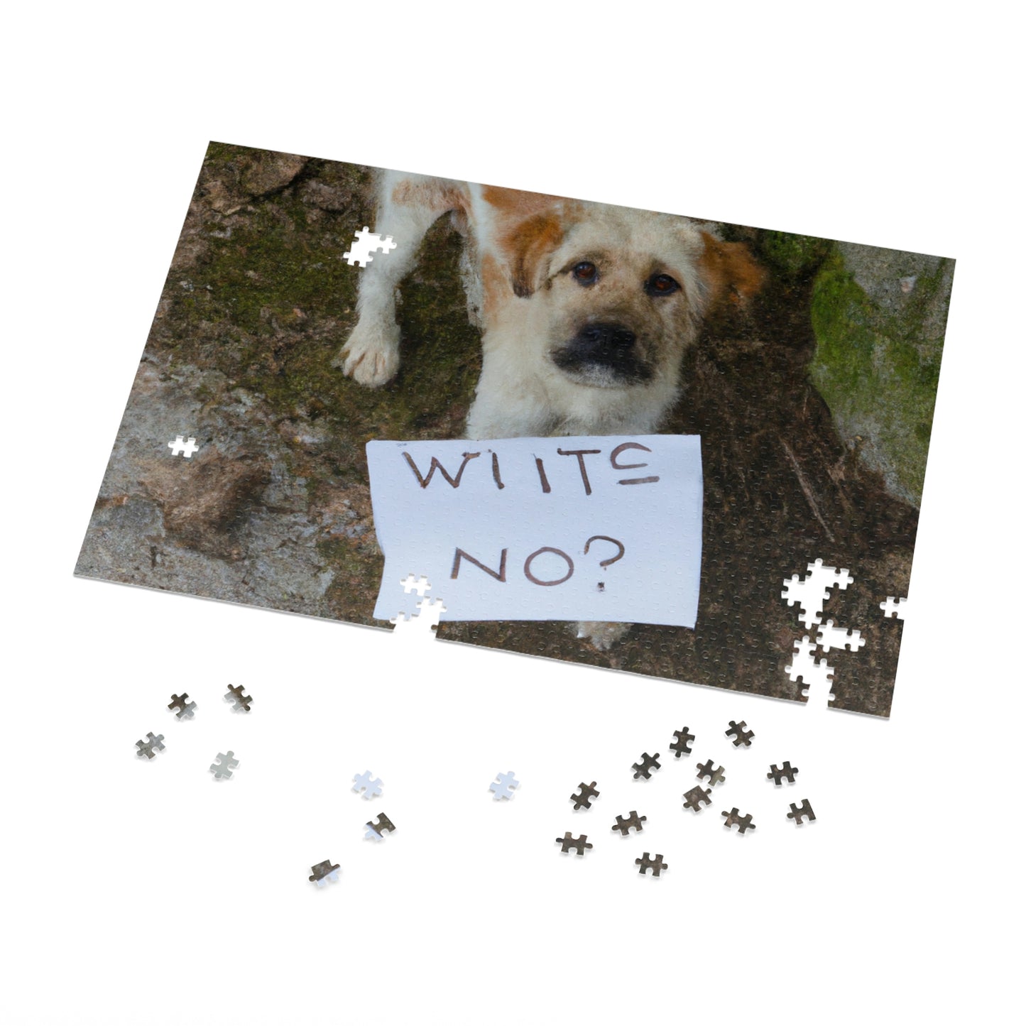 "A Heartbreaking Search: The Lost Dog's Plea for Reunion" - The Alien Jigsaw Puzzle