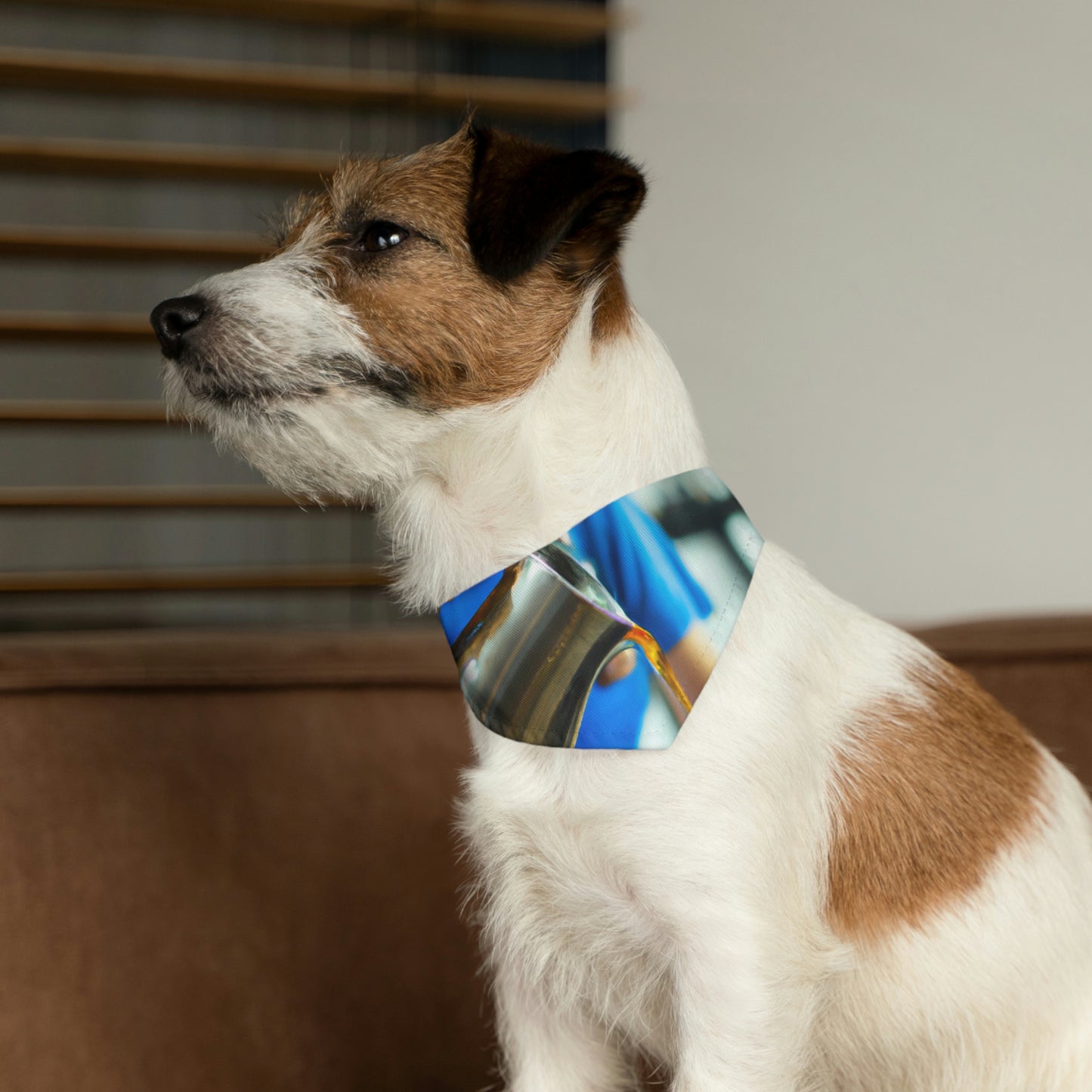 "A Cup of Courage" - El collar de bandana para mascota alienígena