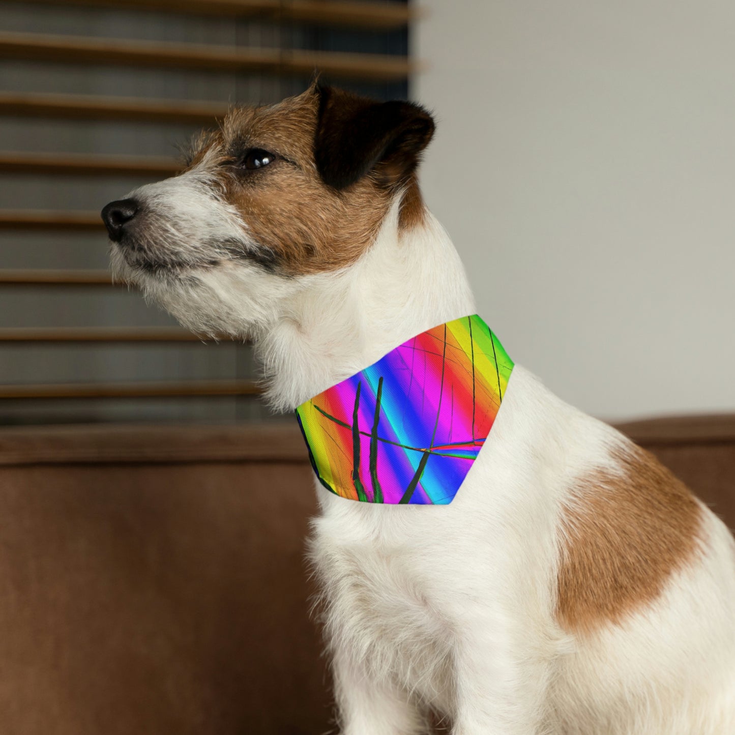 "La telaraña prismática de una hilera": el collar de bandana para mascotas alienígenas