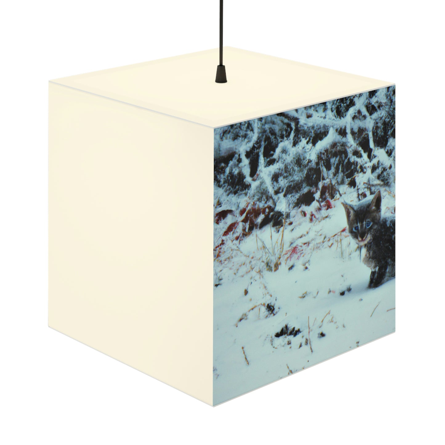 "Brave Kitten in the Frozen Storm" - Die Alien Light Cube Lampe