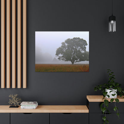 The Lonely Tree in the Foggy Meadow - The Alien Canva