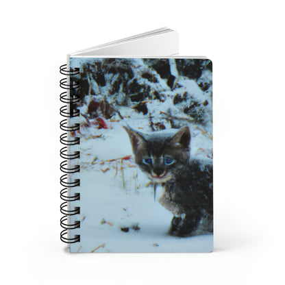 "Brave Kitten in the Frozen Storm" - The Alien Spiral Bound Journal