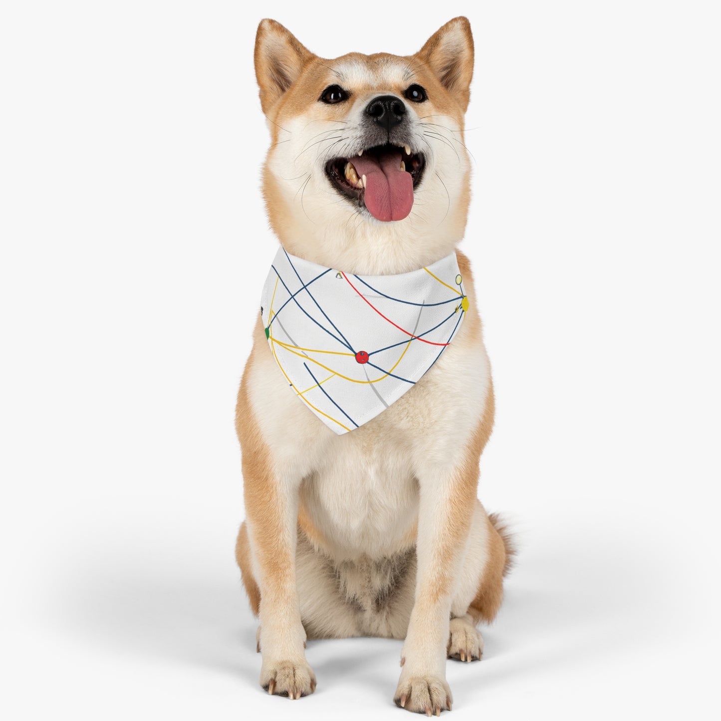 "Exploring the Dynamic Topology: Artful Visualization of a Network Structure." - The Alien Pet Bandana Collar