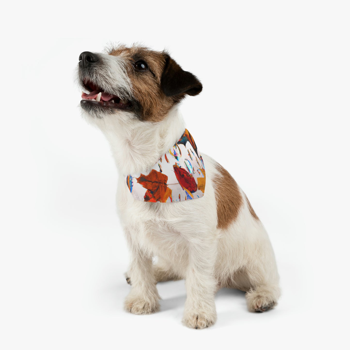 "Autumn in a Glass Globe" - The Alien Pet Bandana Collar