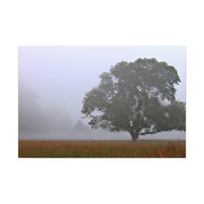 Der einsame Baum auf der nebligen Wiese - The Alien Canva