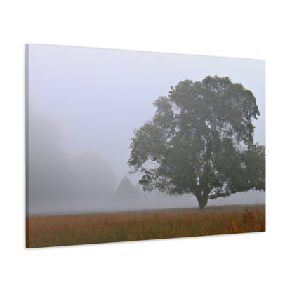 The Lonely Tree in the Foggy Meadow - The Alien Canva