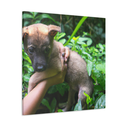 "Lost in the Woods: A Puppy's Rescue" - The Alien Canva