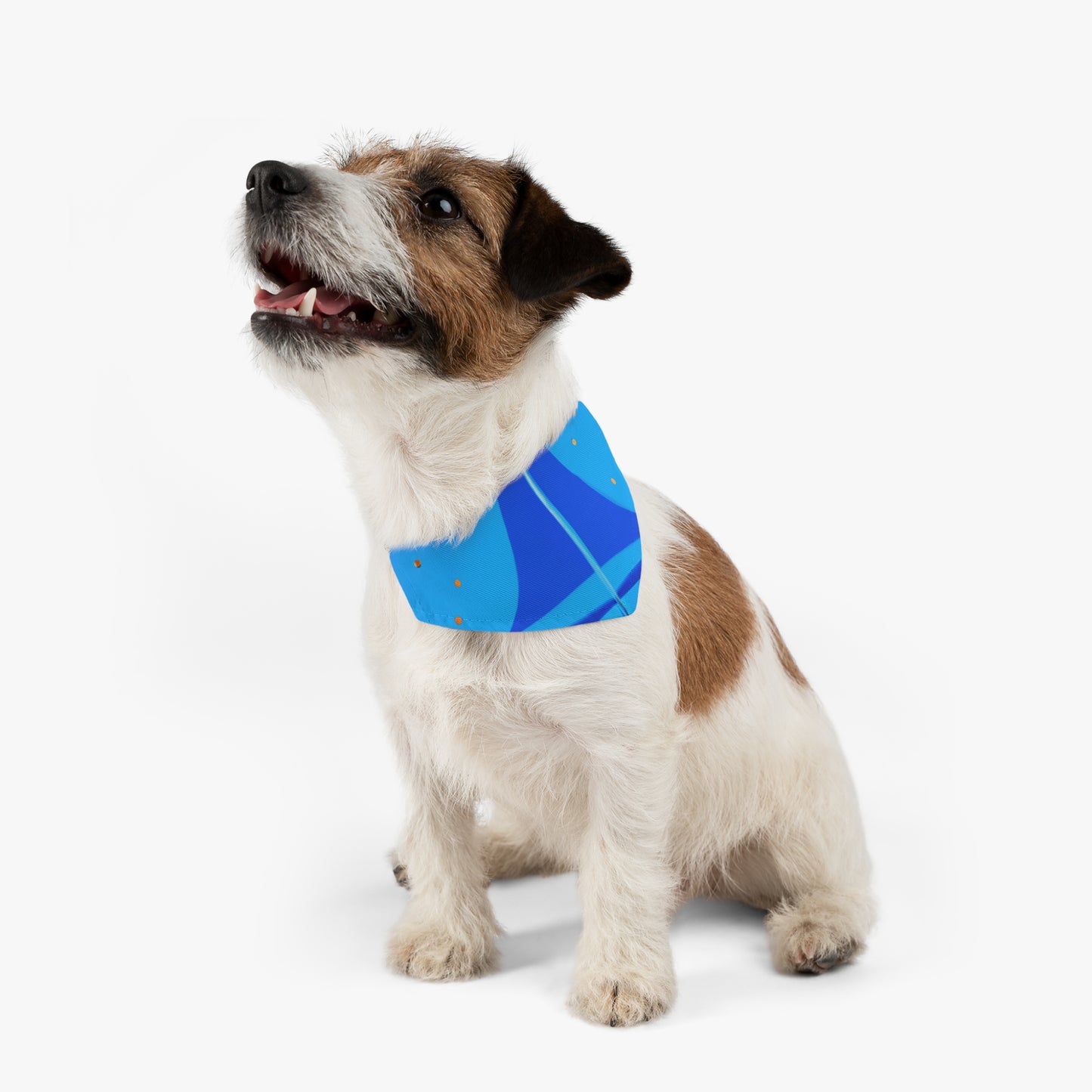 dos pequeños círculos de papel de construcción amarillo para que sirvan como el sol

Un viaje al sol: elaboración de un barco azul y dos marineros: el collar de bandana para mascota alienígena