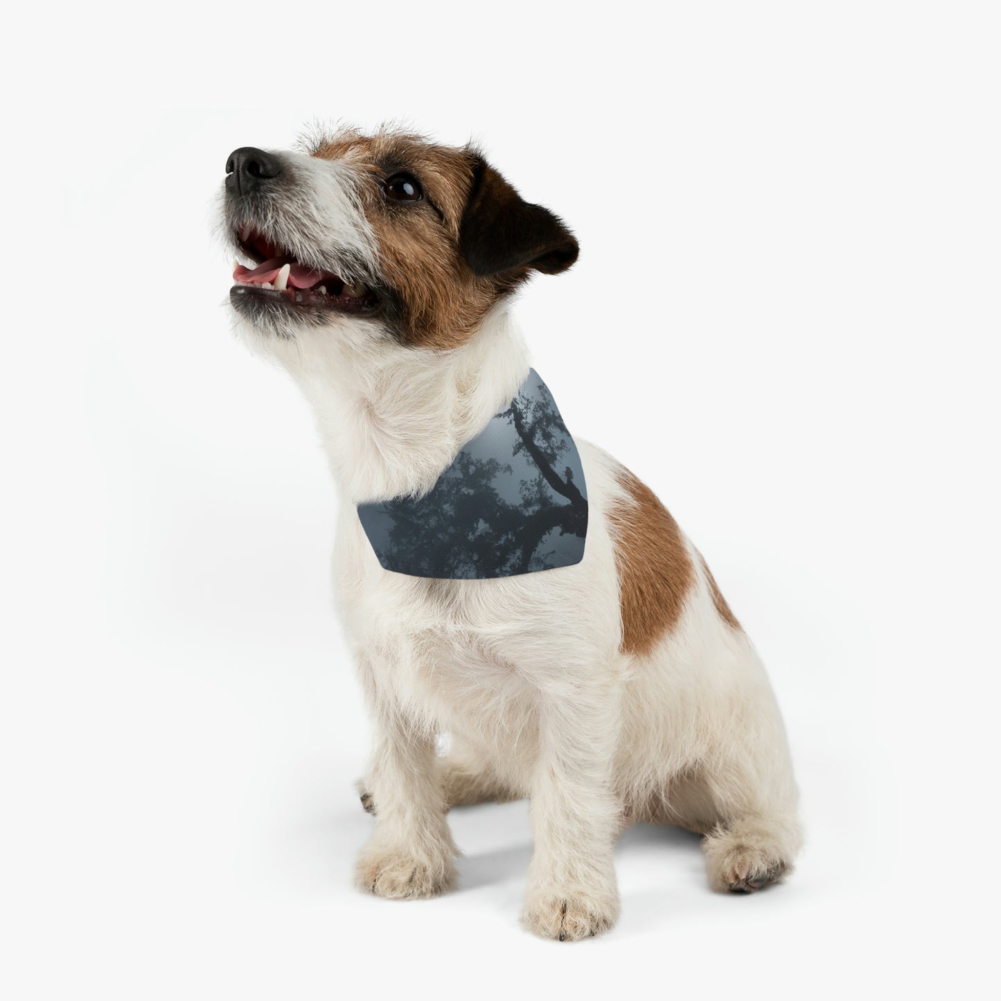 "Un centinela que brilla en la niebla" - El collar de bandana para mascota alienígena #nft