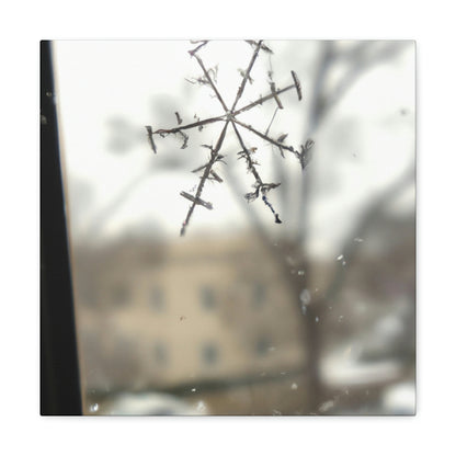 "Tiny Tragedy: A Snowflake's Story" - The Alien Canva