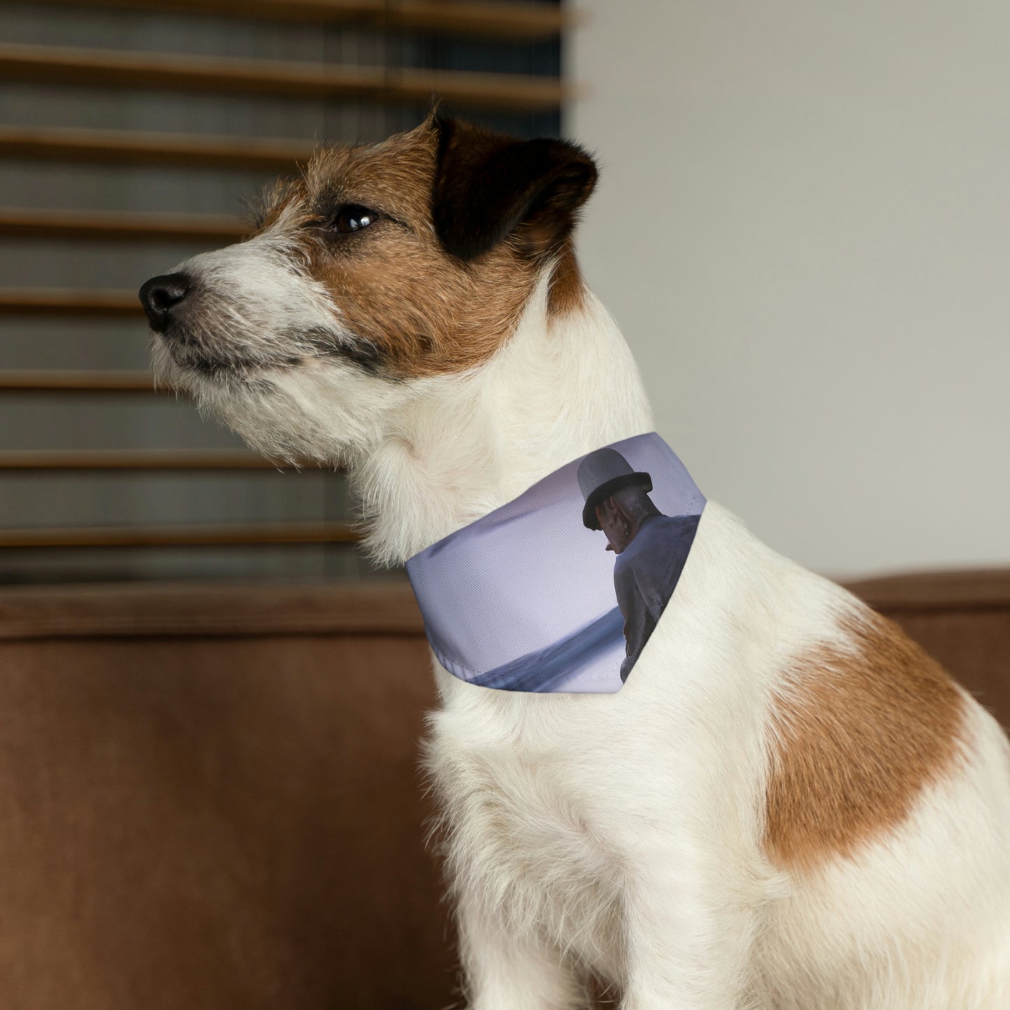 Moonlight Reflections on a Quiet Lake - The Alien Pet Bandana Collar