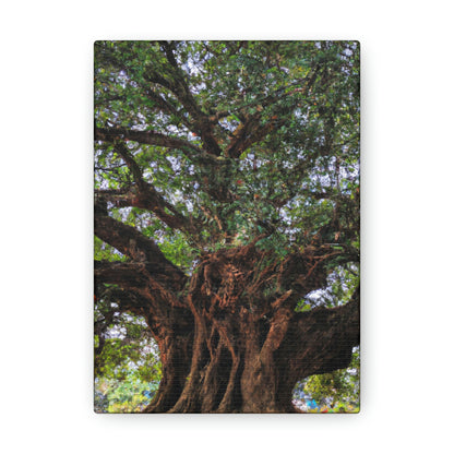 "El secreto sorprendente del árbol antiguo" - The Alien Canva