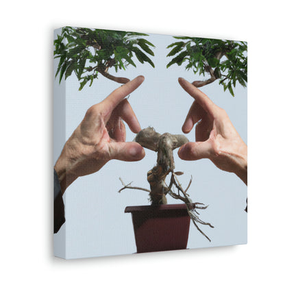 Bonsai Balance - Alex Art - Canvas