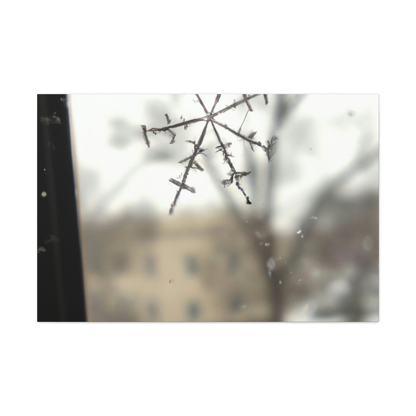 "Tiny Tragedy: A Snowflake's Story" - The Alien Canva