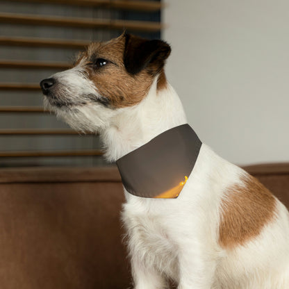 "Iluminación distante": el collar de bandana para mascotas alienígenas