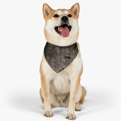 "Corner of Confidences" - The Alien Pet Bandana Collar