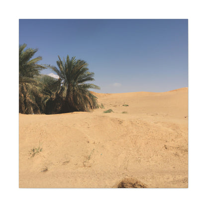 "A Desert Oasis" - The Alien Canva