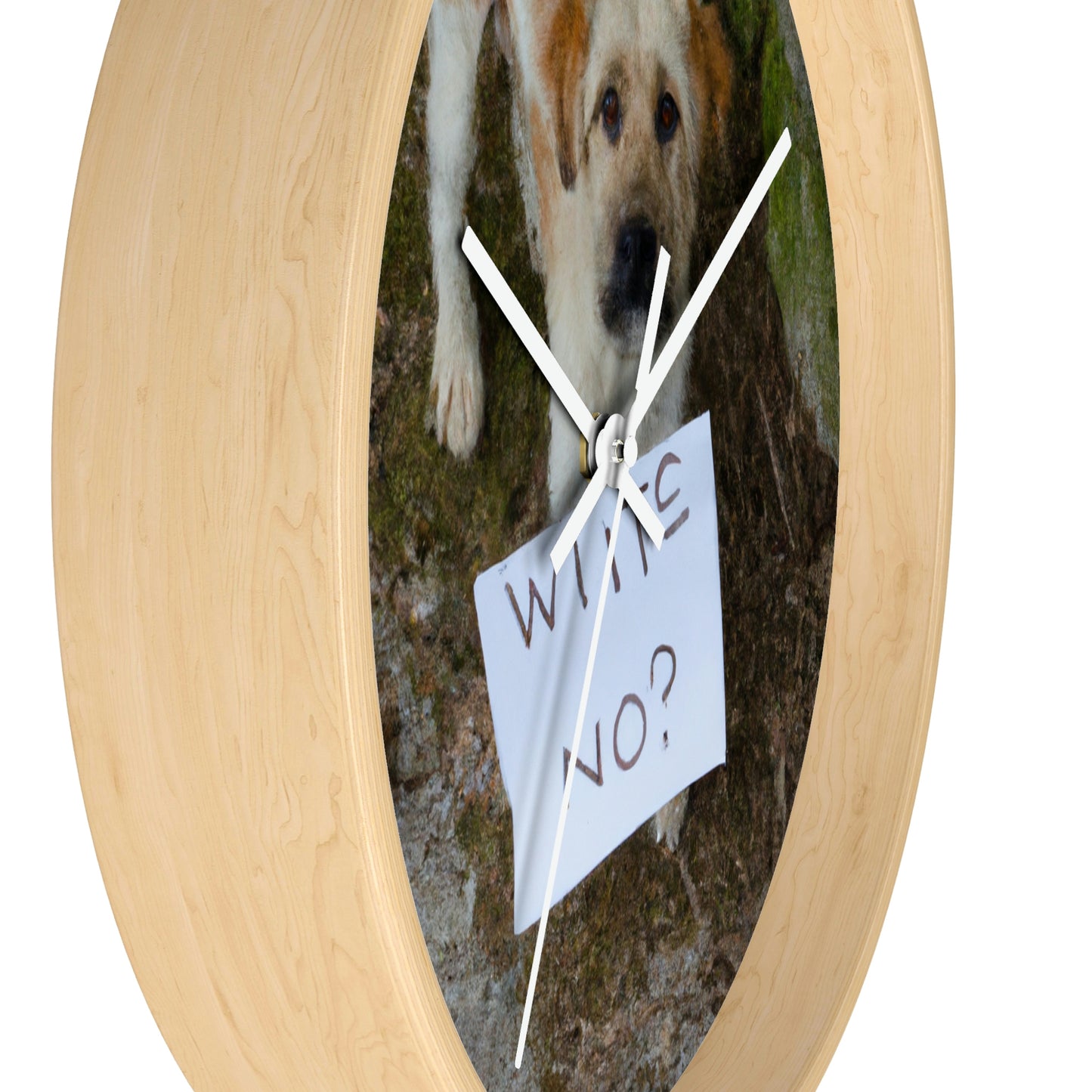 "A Heartbreaking Search: The Lost Dog's Plea for Reunion" - The Alien Wall Clock