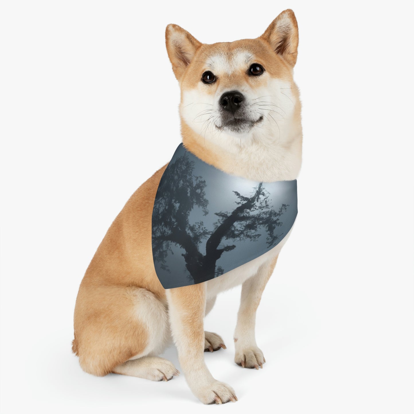 "A Shining Sentinel in the Mist” - The Alien Pet Bandana Collar #nft