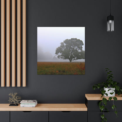 The Lonely Tree in the Foggy Meadow - The Alien Canva