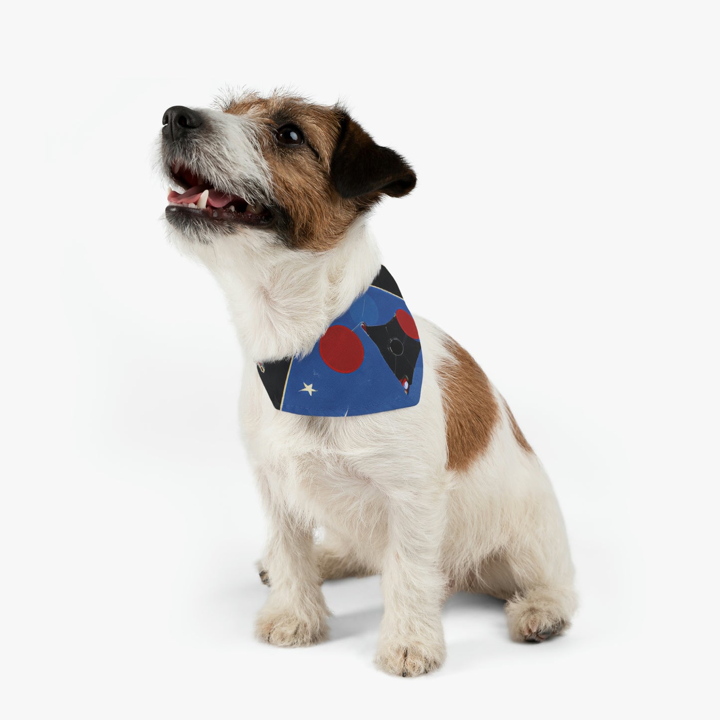 "Kites Illuminating the Starry Sky" - Das Alien Pet Bandana Halsband