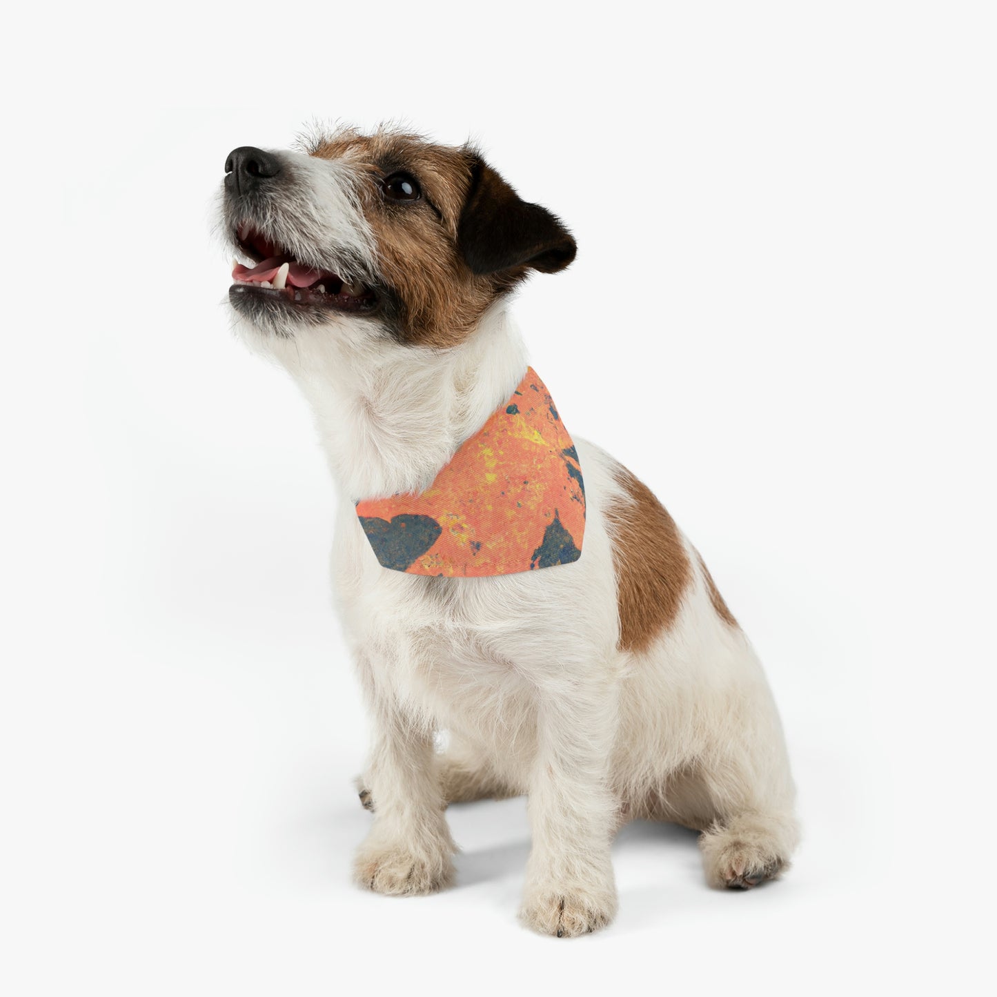 "Reflejos de otoño" - El collar de bandana para mascotas alienígenas