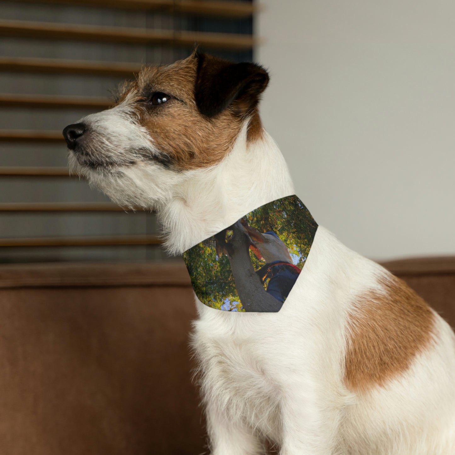 "Furry Retter in a High Perch" - Das Alien Pet Bandana Halsband