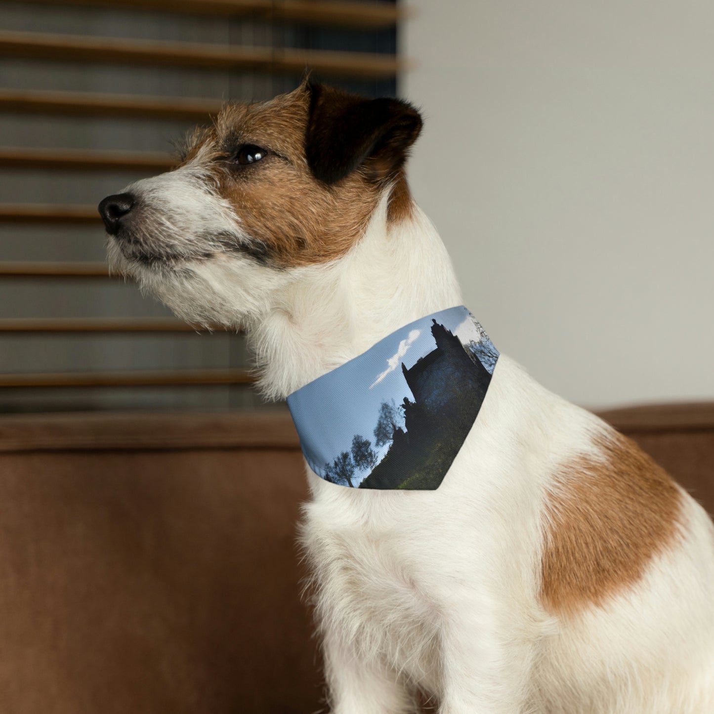 en un rincon olvidado del mundo

"El castillo abandonado de la soledad" - El collar de bandana para mascota alienígena