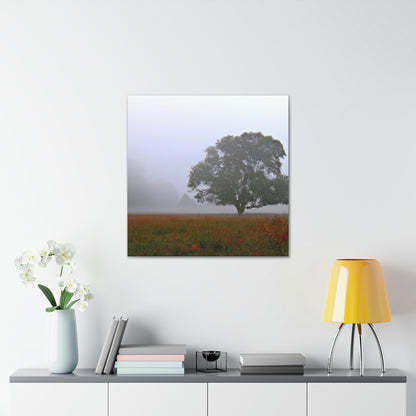 The Lonely Tree in the Foggy Meadow - The Alien Canva