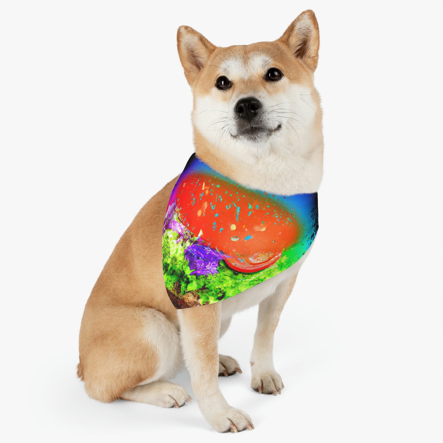 "Burger Rainbow" - Das Alien Pet Bandana Halsband