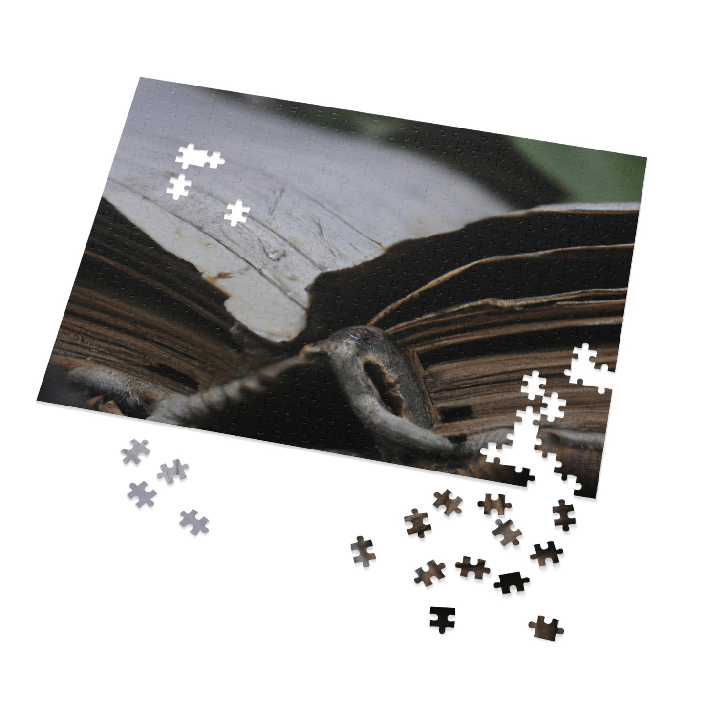 Unbeknownst to its readers, the book possesses magical powers.

"The Forgotten Tome of Magic" - The Alien Jigsaw Puzzle