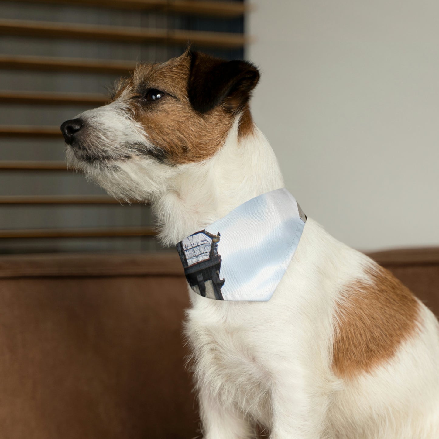 The Clocktower's Shadow - The Alien Pet Bandana Collar