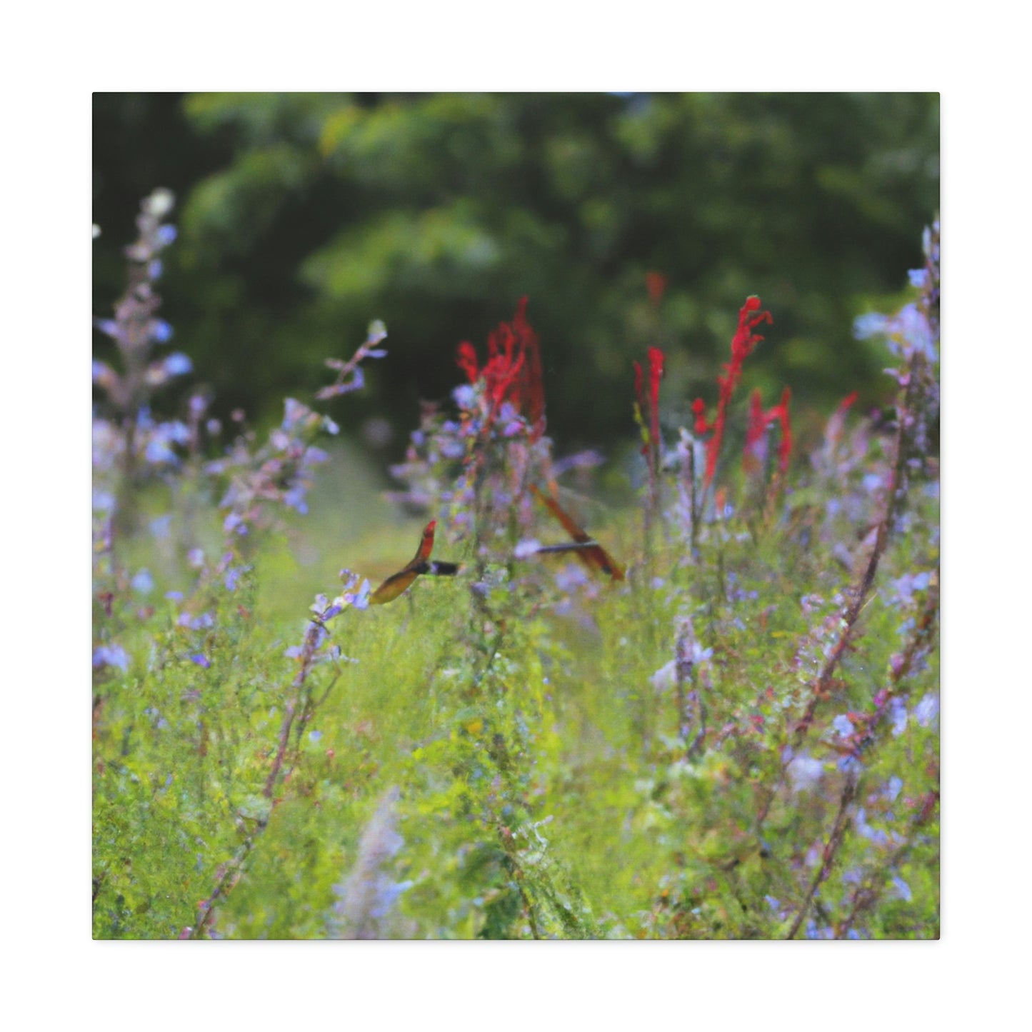 "The Dragonfly Ball in the Wildflower Meadow" - The Alien Canva