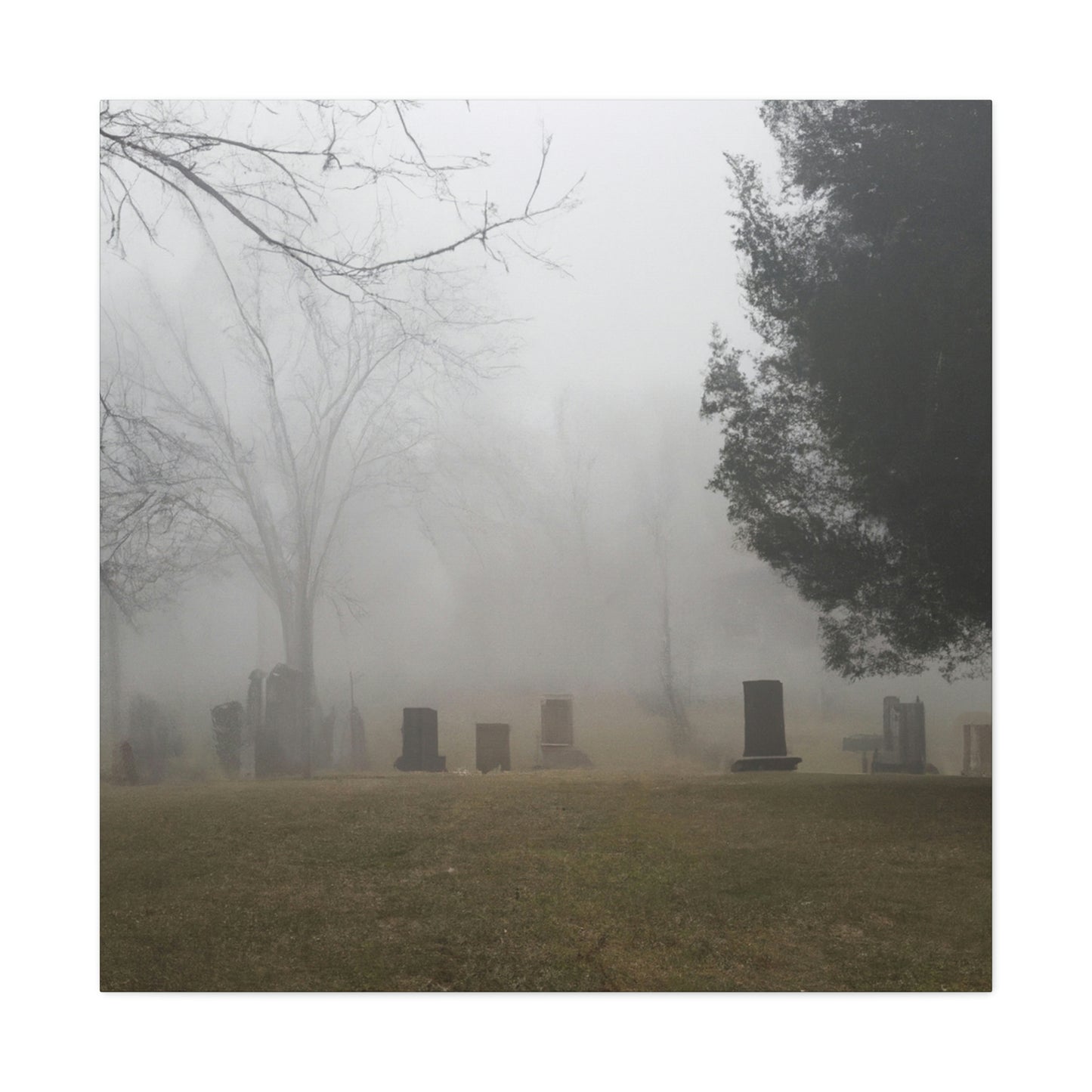 "Perdido en la niebla: un cementerio olvidado" - The Alien Canva