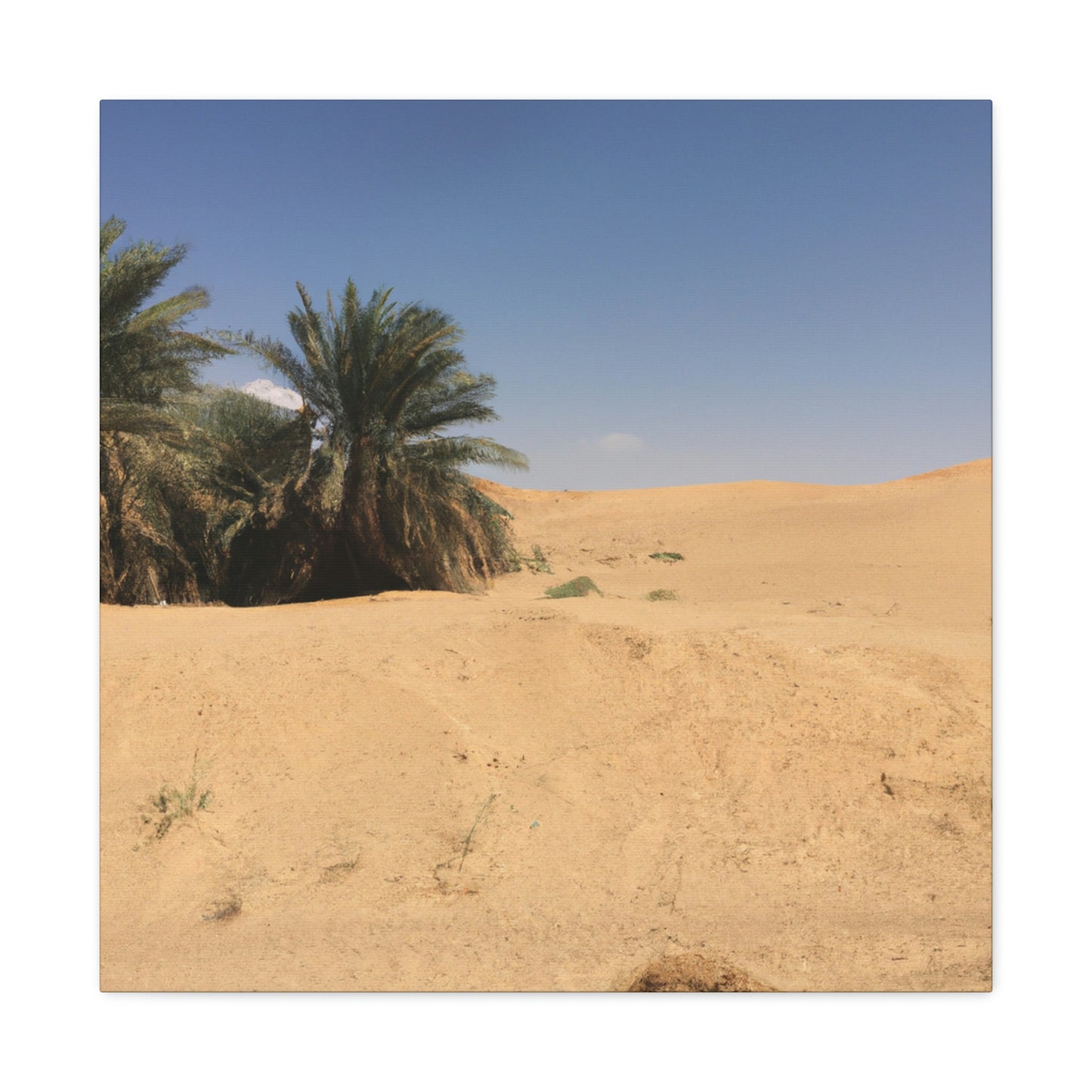 "A Desert Oasis" - The Alien Canva