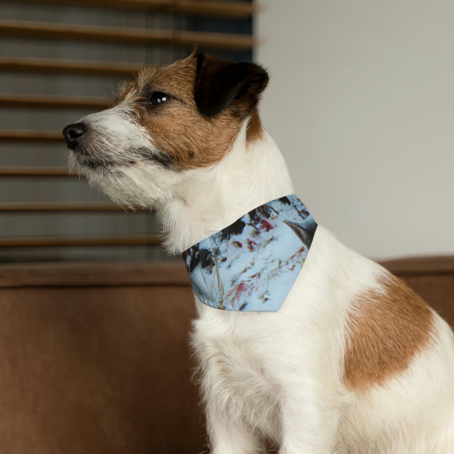 "Gatito valiente en la tormenta congelada" - El collar de bandana para mascota alienígena