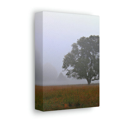 The Lonely Tree in the Foggy Meadow - The Alien Canva