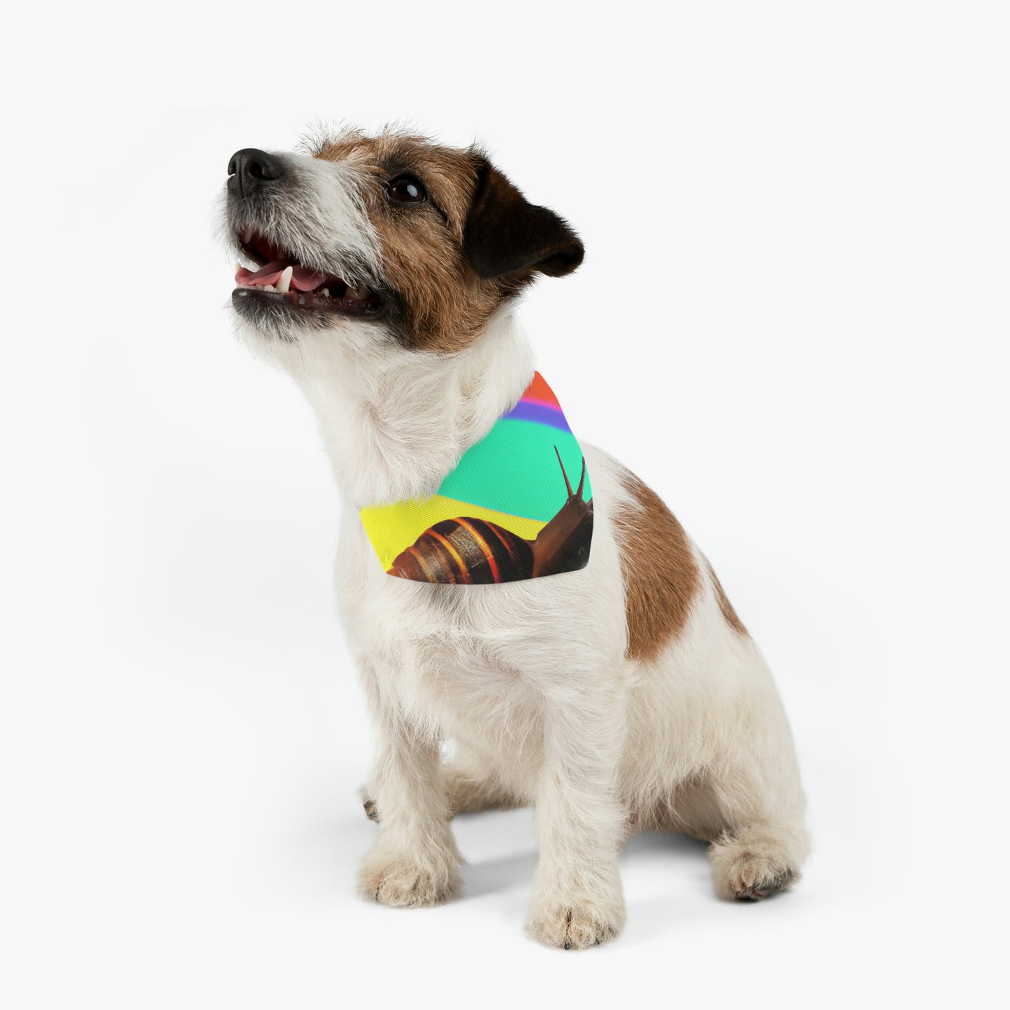 "Rainbow Pot of Gold: A Snail's Slow Trek" - The Alien Pet Bandana Collar