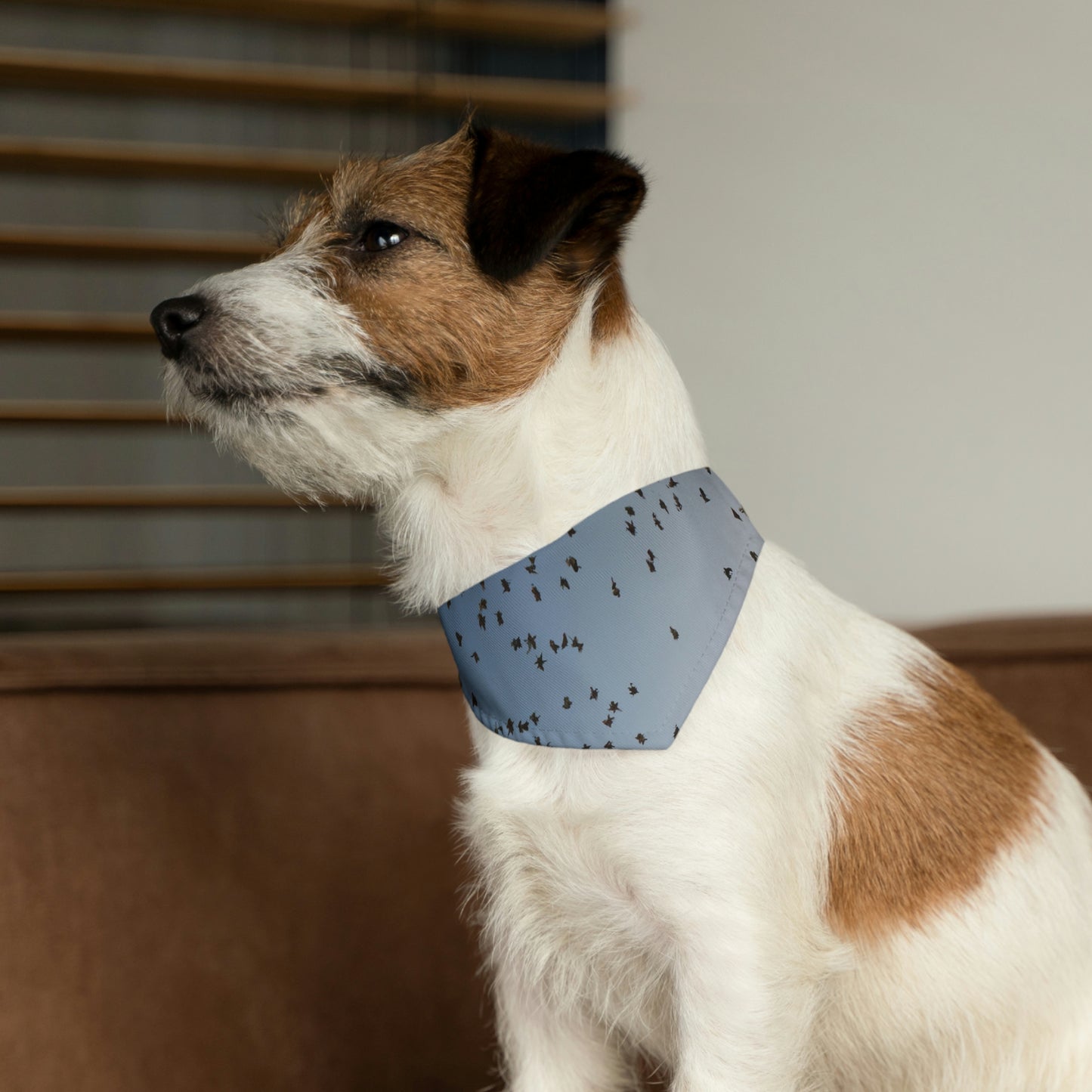 "The Heart in the Sky" - The Alien Pet Bandana Collar