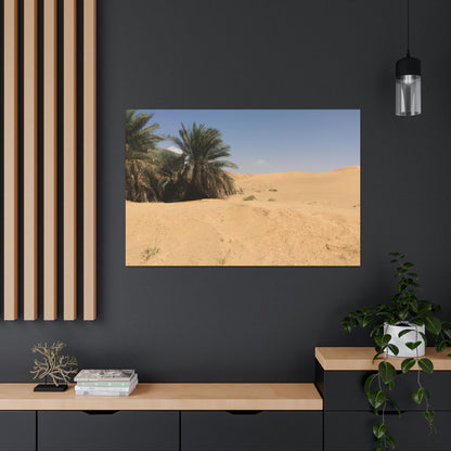 "A Desert Oasis" - The Alien Canva