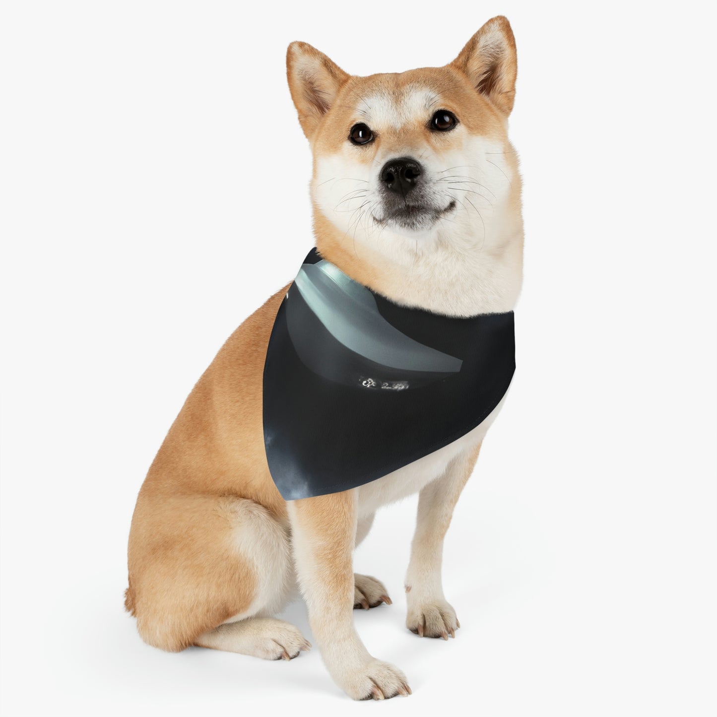 "Stormy Encounter" - El collar de bandana para mascota alienígena